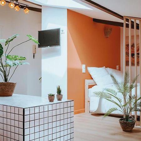 Apartmán Le Nid Douillet De L'Hypercentre Toulouse Exteriér fotografie