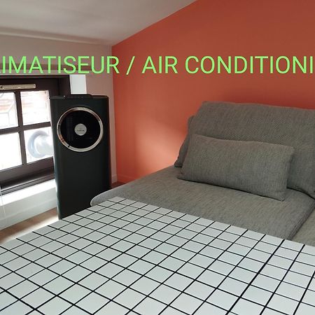 Apartmán Le Nid Douillet De L'Hypercentre Toulouse Exteriér fotografie