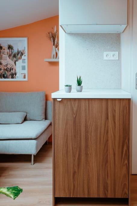 Apartmán Le Nid Douillet De L'Hypercentre Toulouse Exteriér fotografie