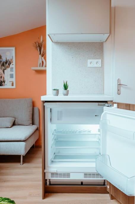 Apartmán Le Nid Douillet De L'Hypercentre Toulouse Exteriér fotografie