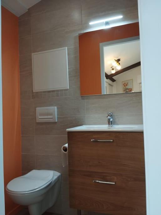 Apartmán Le Nid Douillet De L'Hypercentre Toulouse Exteriér fotografie