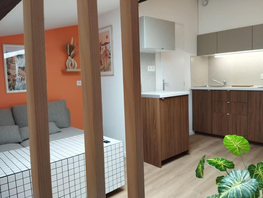Apartmán Le Nid Douillet De L'Hypercentre Toulouse Exteriér fotografie