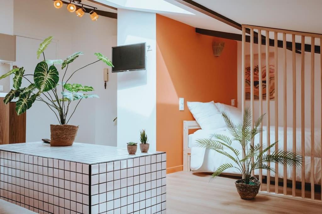 Apartmán Le Nid Douillet De L'Hypercentre Toulouse Exteriér fotografie
